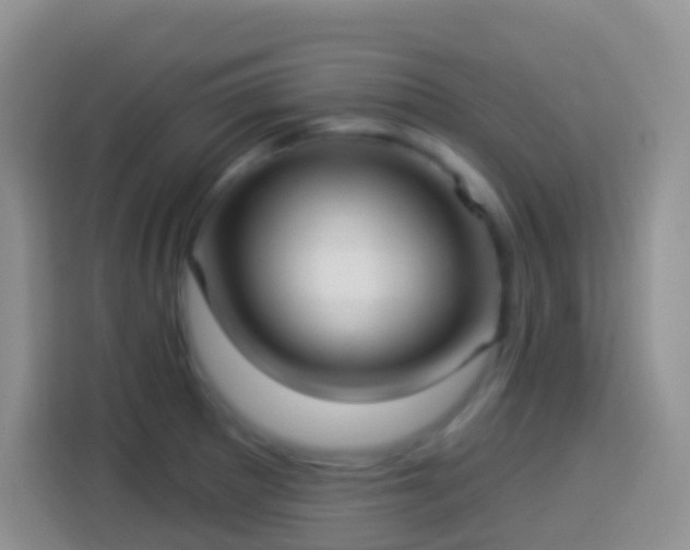X0000113881281200910011125