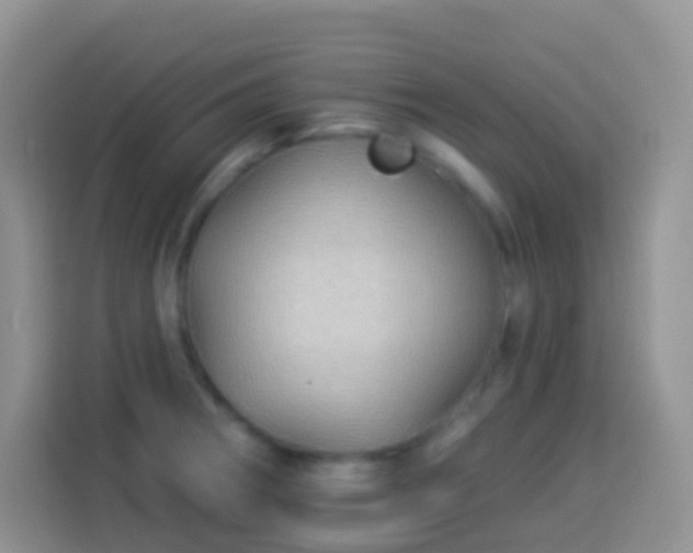 X0000113881282200910011125