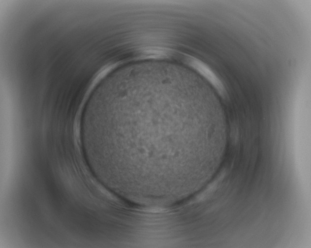 X0000113881283200910011125