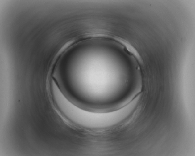 X0000113881285200910011125
