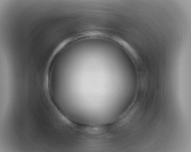 X0000113881286200910011125