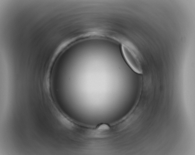 X0000113881288200910011125