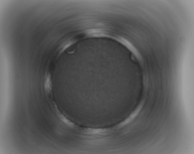 X0000113881289200910011125