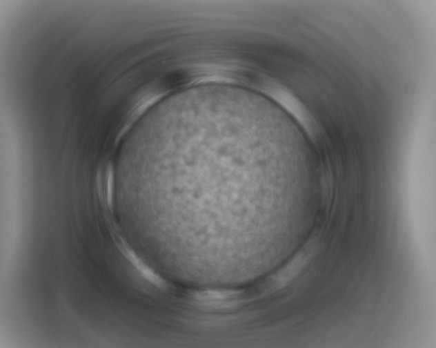 X0000113881290200910011125
