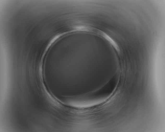 X0000113881291200910011125