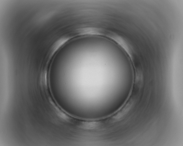 X0000113881293200910011125