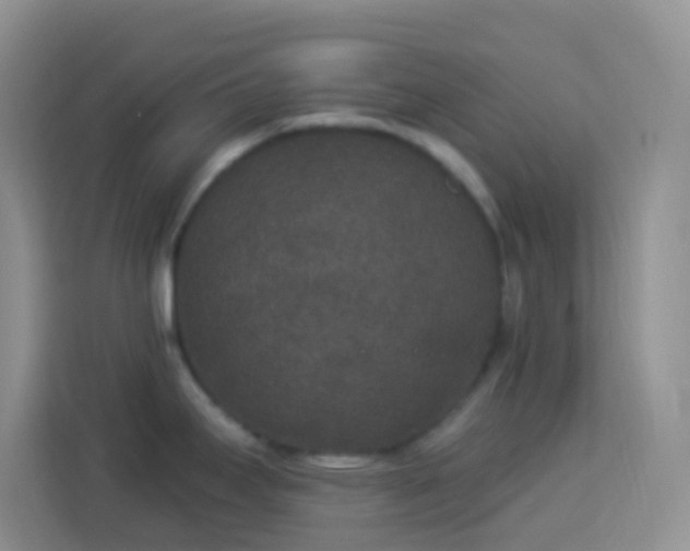 X0000113881295200910011125
