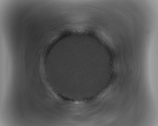 X0000113881297200910011124