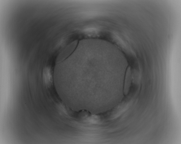 X0000113881298200910011124