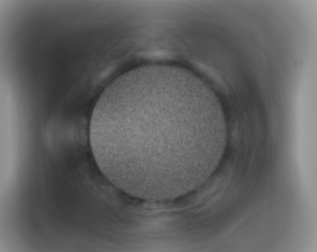 X0000113881301200910011124