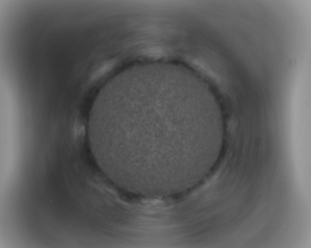 X0000113881302200910011124