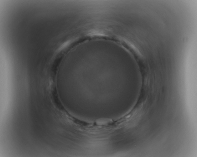 X0000113881303200910011124