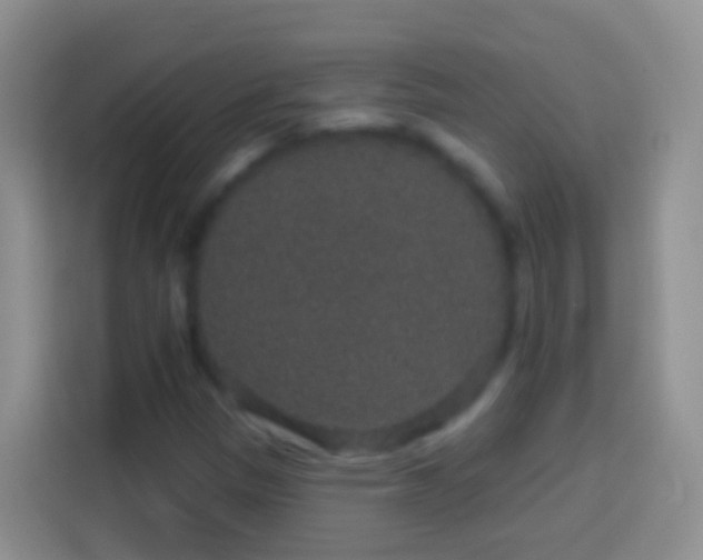 X0000113881305200910011124