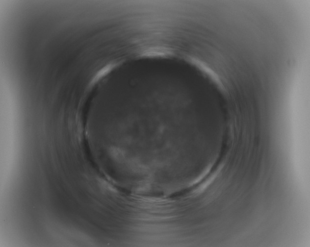 X0000113881306200910011124