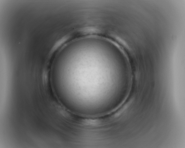 X0000113881309200910011124