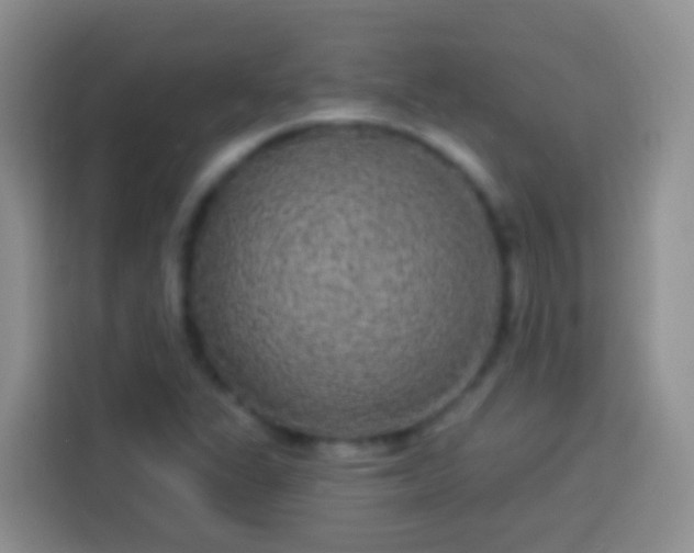 X0000113881311200910011124