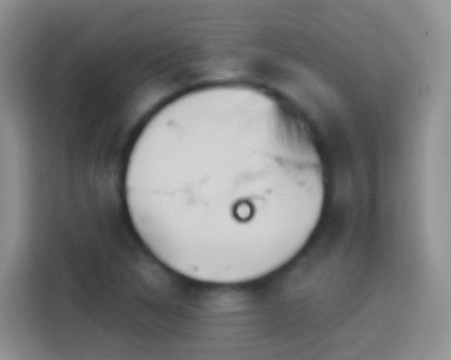X0000113881314200910011124