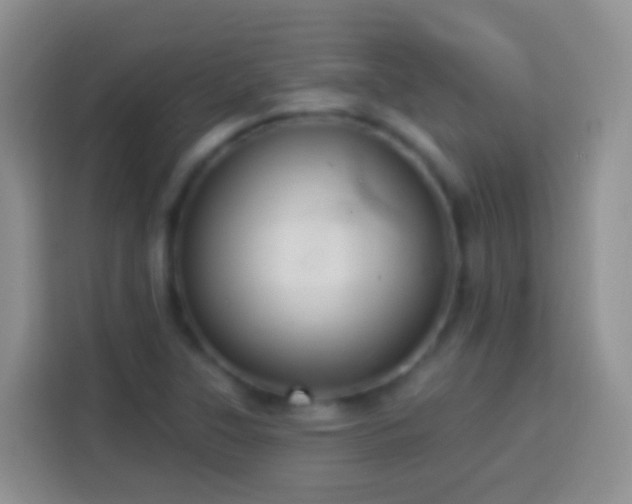 X0000113881315200910011124
