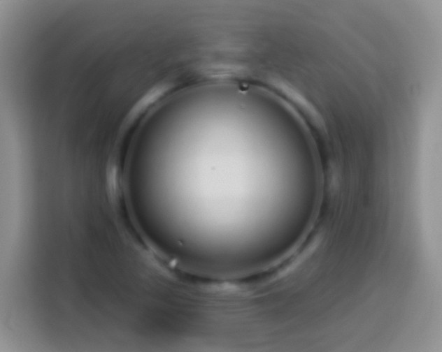 X0000113881317200910011124