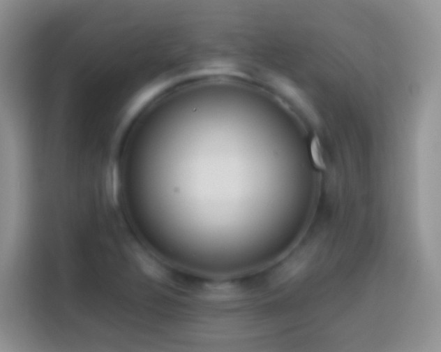 X0000113881320200910011124
