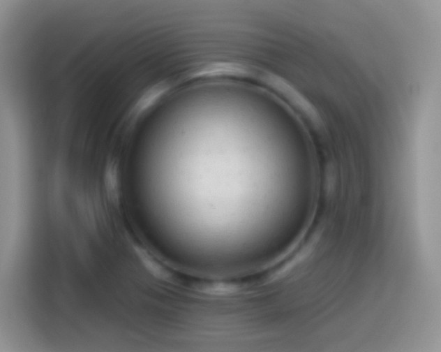 X0000113881321200910011124