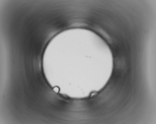 X0000113881322200910011124
