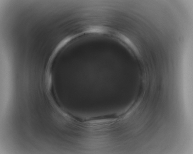 X0000113881323200910011124