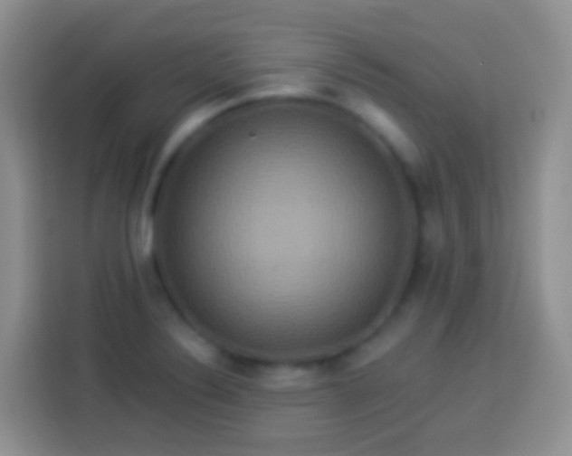 X0000113881324200910011125