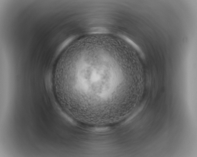 X0000113881325200910011125