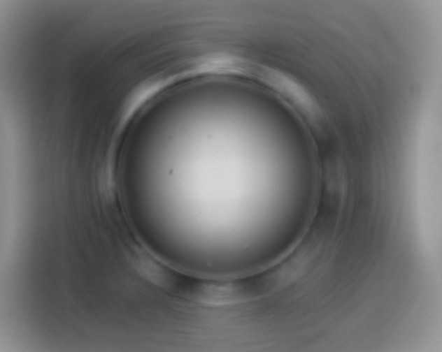X0000113881328200910011125
