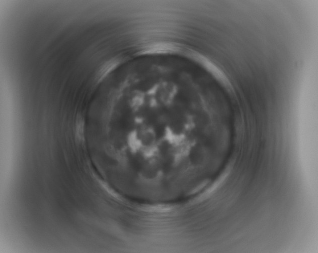 X0000113881329200910011125