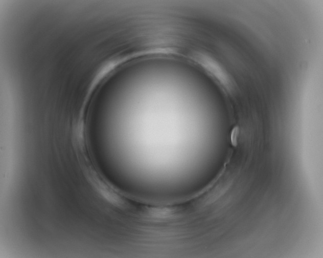 X0000113881332200910011125