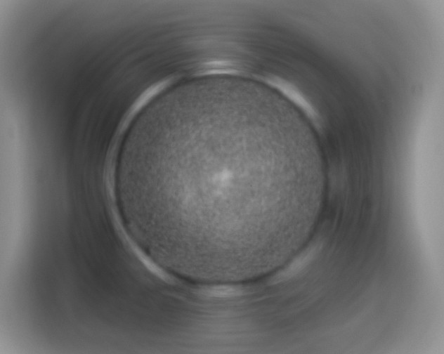 X0000113881333200910011125