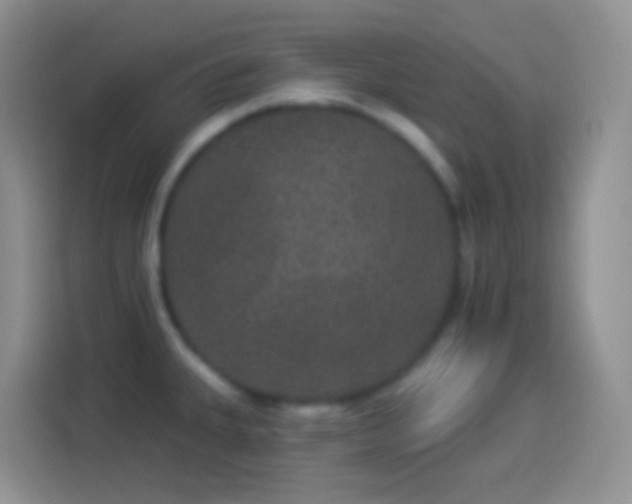 X0000113881335200910011125