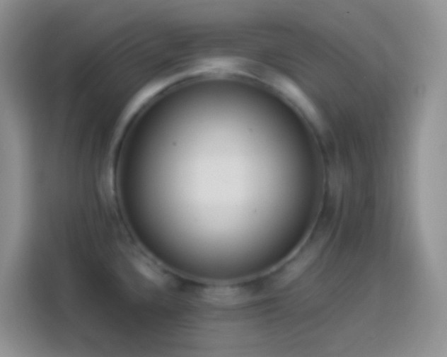 X0000113881336200910011125