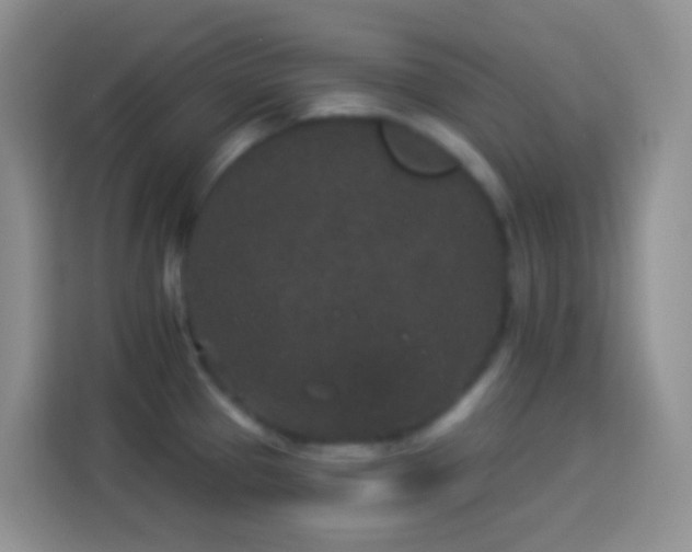 X0000113881337200910011125