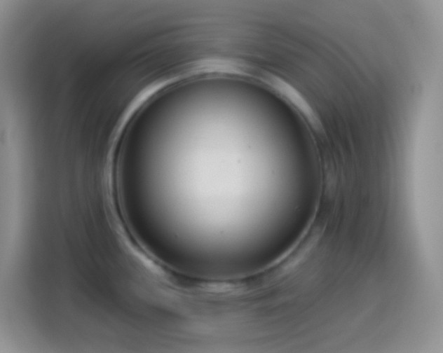 X0000113881339200910011125