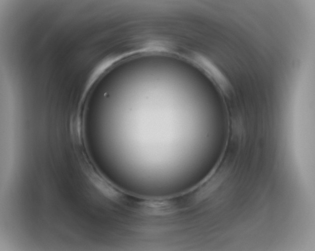 X0000113881340200910011125