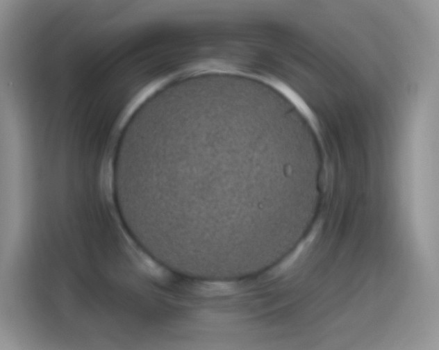 X0000113881341200910011125