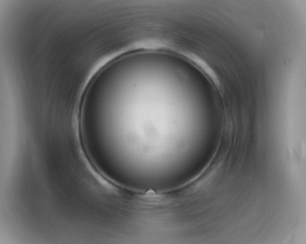 X0000113881343200910011125