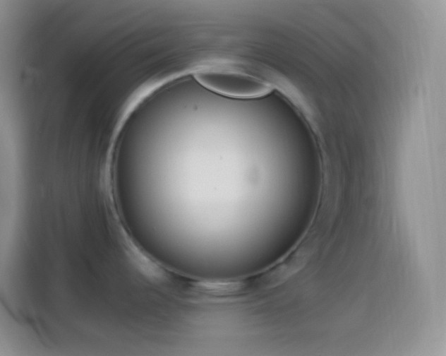 X0000113881344200910011125