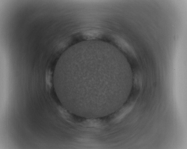 X0000113881346200910011124