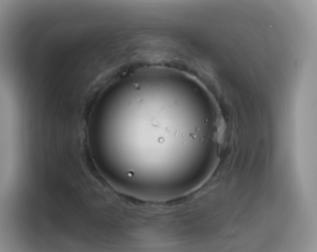 X0000113881349200910011124