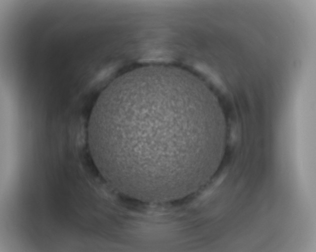 X0000113881350200910011124