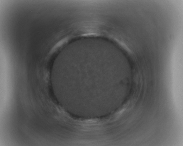 X0000113881351200910011124