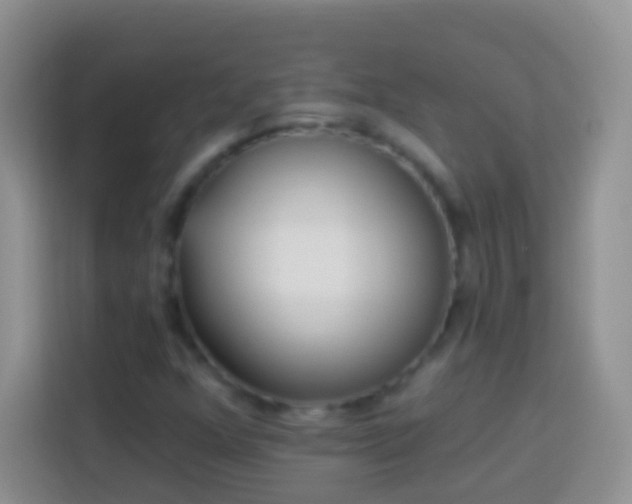 X0000113881352200910011124