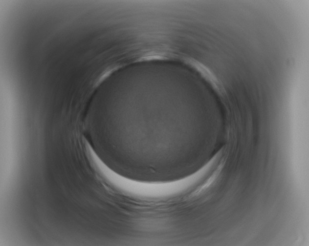 X0000113881353200910011124
