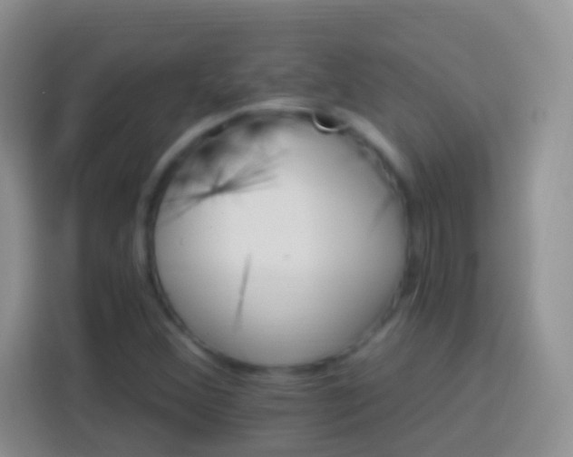 X0000113881356200910011124