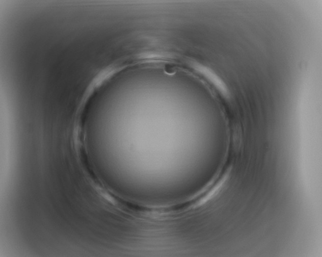 X0000113881357200910011124
