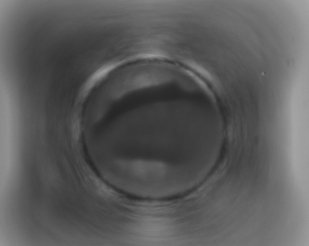 X0000113881359200910011124